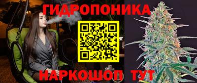 крисы Краснодар