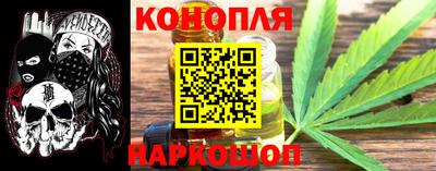 mdpv Краснознаменск