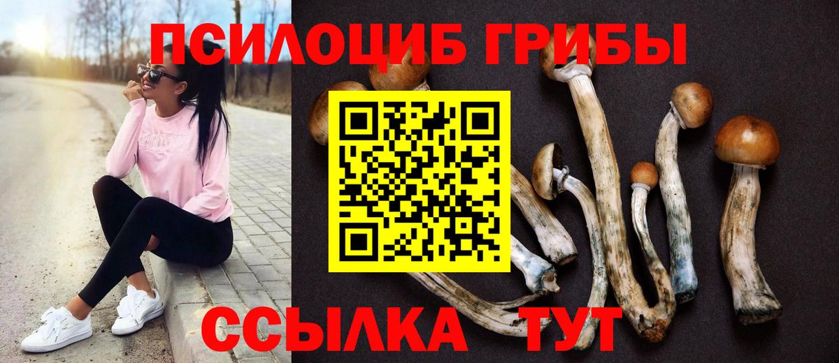Волгоград  Галлюциногенные грибы мухоморы  Вход с VPN 